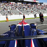 Flickr photo 22-4MDH5953 (1)