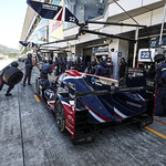 Flickr photo 22-1MDH8883 (1)