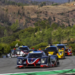 Flickr photo UA-MLMC-2022-Portimao-314