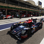 Flickr photo 22-0Q3A3958 (1)