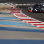 Flickr photo 23-0Q3A2678