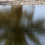 Flickr photo 22-0Q3A9836