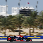 Flickr photo 23-DSC_9462 (1)