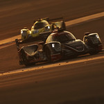 Flickr photo 22-0Q3A3342