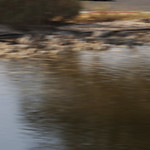 Flickr photo 22-0Q3A9831