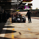 Flickr photo 22-7B1A5250