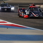 Flickr photo 22-0Q3A2635