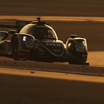 Flickr photo 23-0Q3A2961