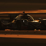 Flickr photo 23-0Q3A2966