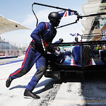 Flickr photo 22-0Q3A5006