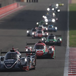 Flickr photo 23-0Q3A1015 (1)