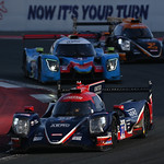 Flickr photo 22-DSC_7915