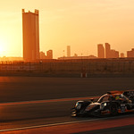 Flickr photo 23-DSC_2954