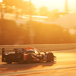 Flickr photo 23-7B1A6948