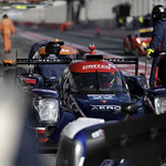 Flickr photo 22-0Q3A7982