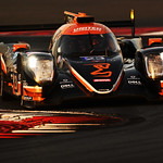 Flickr photo 23-DSC_8720