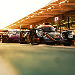 Flickr photo 23-DSC_8735