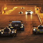 Flickr photo 23-DLP75867