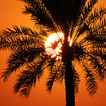 Flickr photo Sun7B1A1148