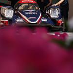 Flickr photo 22-7B1A6906