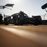 Flickr photo 22-7B1A6865