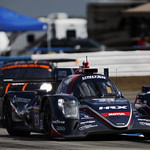 Flickr photo 23-0Q3A3339