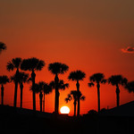 Flickr photo sunset-7B1A2913