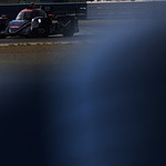 Flickr photo 22-7B1A7672