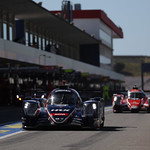 Flickr photo 23-0Q3A2433