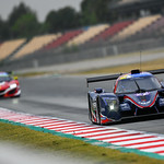 Flickr photo 22-DSC_1125 (1)