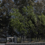 Flickr photo 23-1MDH3306