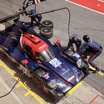 Flickr photo 22-1MDH0947