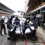 Flickr photo 23-2MDH7822