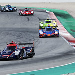 Flickr photo 22-1MDH9579