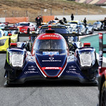 Flickr photo 22-7B1A8652