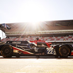 Flickr photo 22-2MDH8523