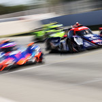 Flickr photo 22-1MDH7556