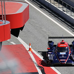 Flickr photo 22-1MDH7192