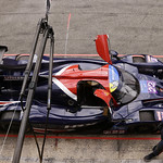 Flickr photo 22-1MDH3385