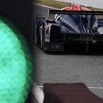 Flickr photo 23-2MDH1388