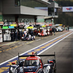 Flickr photo 22-1MDH8187