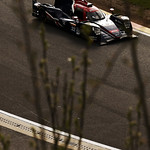 Flickr photo 22-1MDH4663