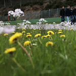 Flickr photo 23-1MDH3382