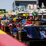 Flickr photo 22-1MDH7959