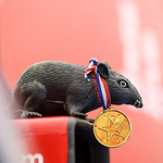 Flickr photo 21-1MDH9444