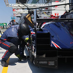 Flickr photo 22-1MDH2290