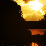 Flickr photo UA-1MDH36102