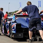 Flickr photo 21-1MDH9388