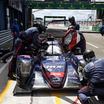 Flickr photo 22-2MDH2490