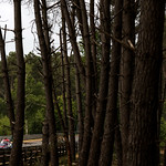 Flickr photo 22-1MDH3343